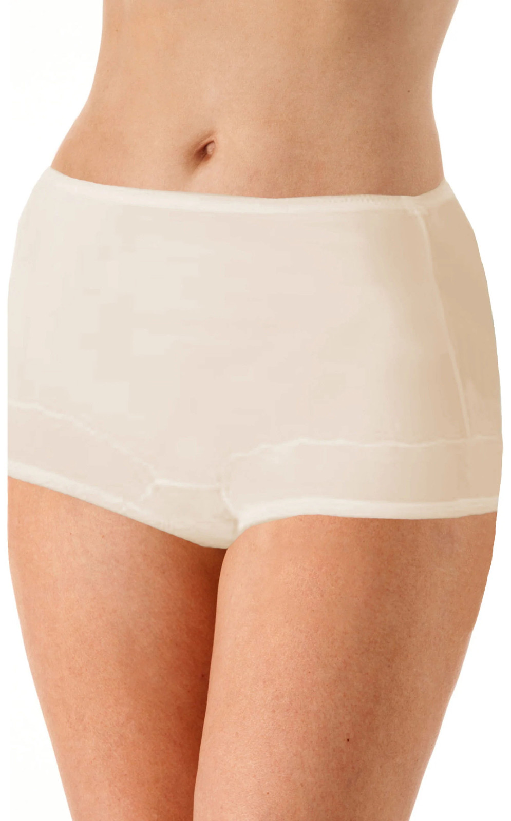 Dixie Belle Underwear Women’s Blue/Pink/Beige Nylon Brief Panties 3 Pack
