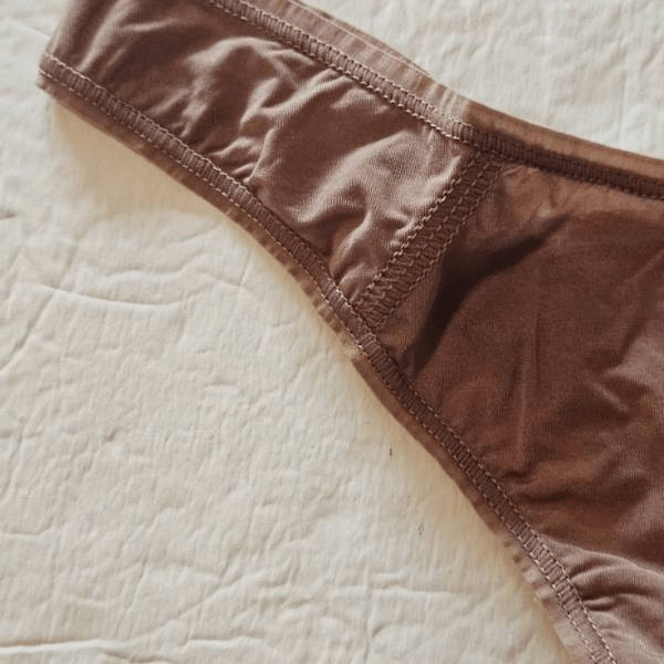 SKIMS V cut panty Nwt