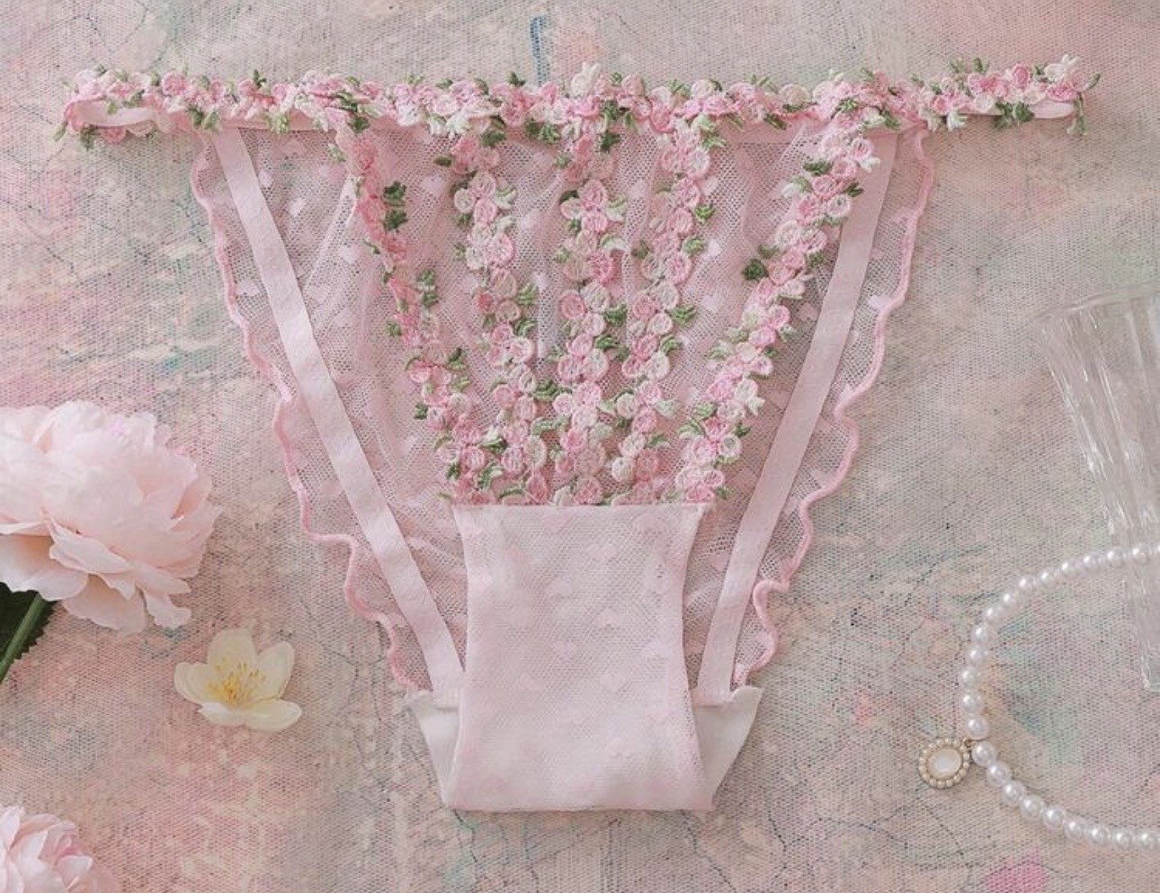 Sheer Pink 💕Mesh w Floral Embroidered Detail String Bikini Panties XL NEW