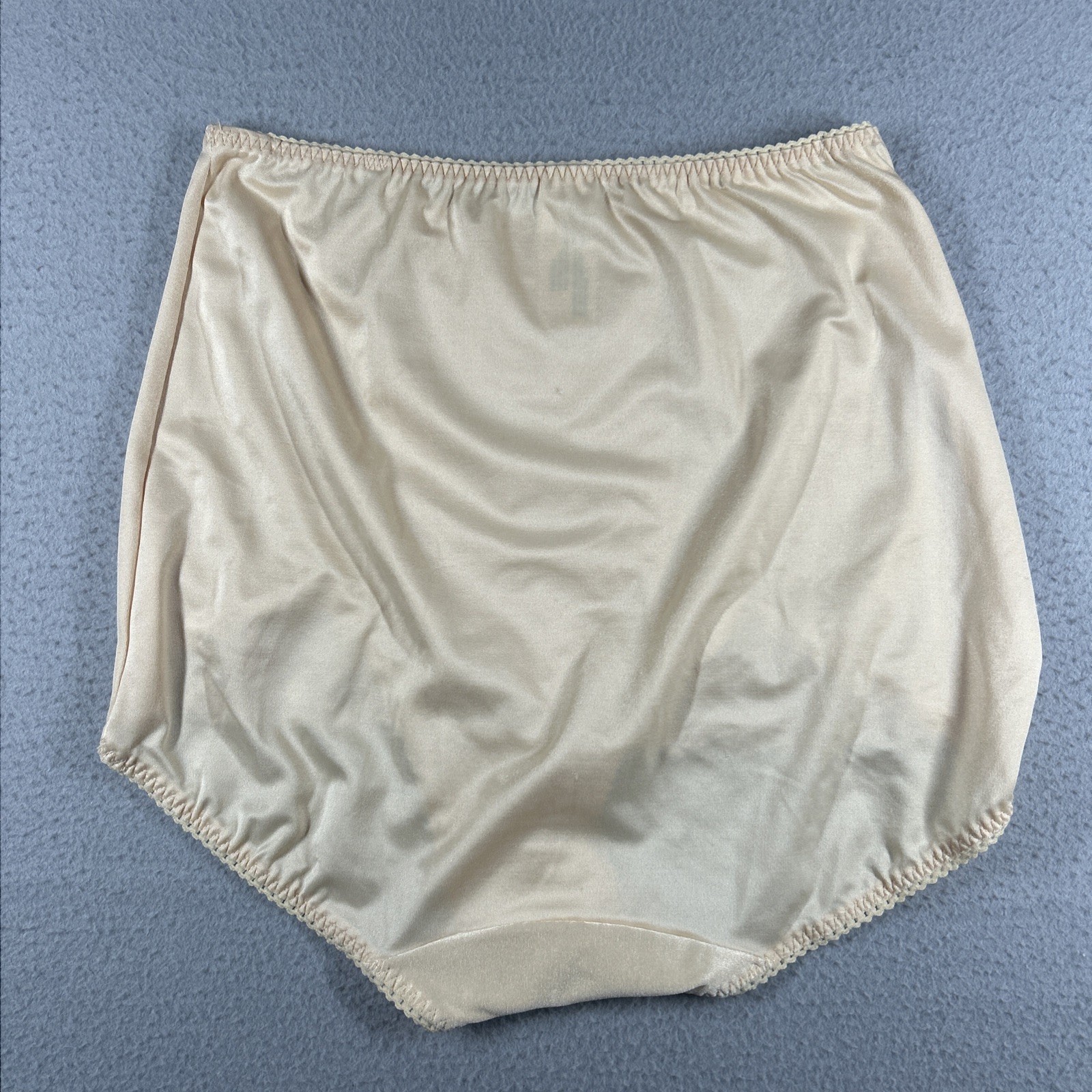 RAGO 919X Panty Brief Light Shaping Size 4X/38 NWT Beige
