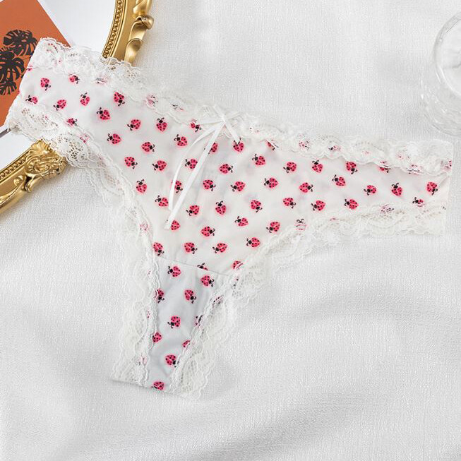 5 Pack Lot Sexy Womens Floral Lace Panties Thong G string Brief Bikini Underwear