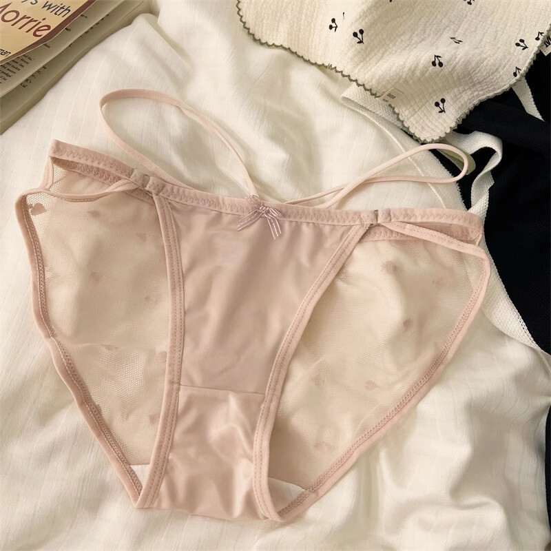 5Pack Lot Sexy Womens Satin Panties Brief String Bikini Sheer Underwear Lingerie