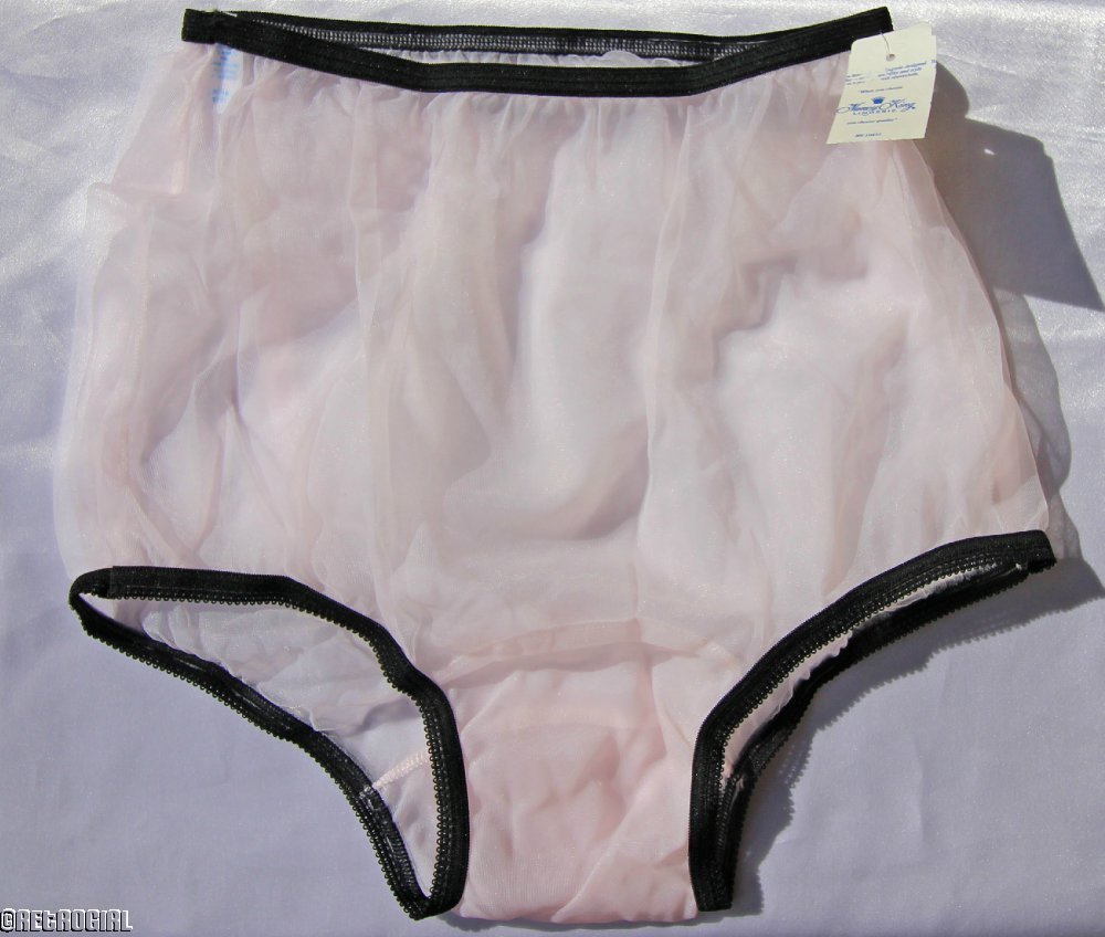 RG VINTAGE RETRO NANCY KING SHEER PINK NYLON PIN UP BRIEF PANTIES SIZE 6 MEDIUM