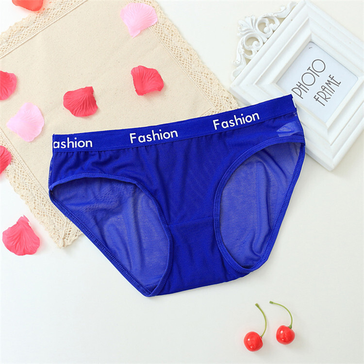 6PCS/LOT Sexy Womens See Through Sheer Panties Brief Lingeries Underwear Hipster