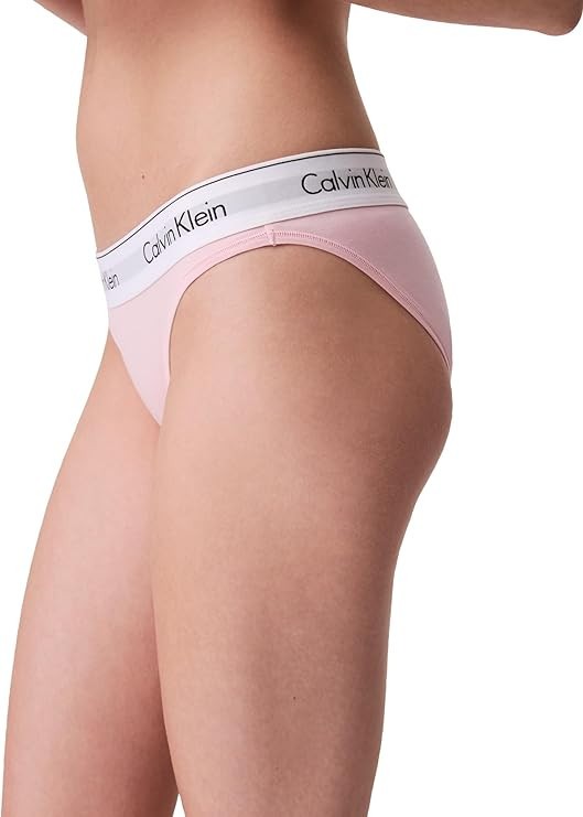 Calvin Klein F3787 Modern Logo Cotton Stretch Bikini Panty BUFF PINK Medium NWT