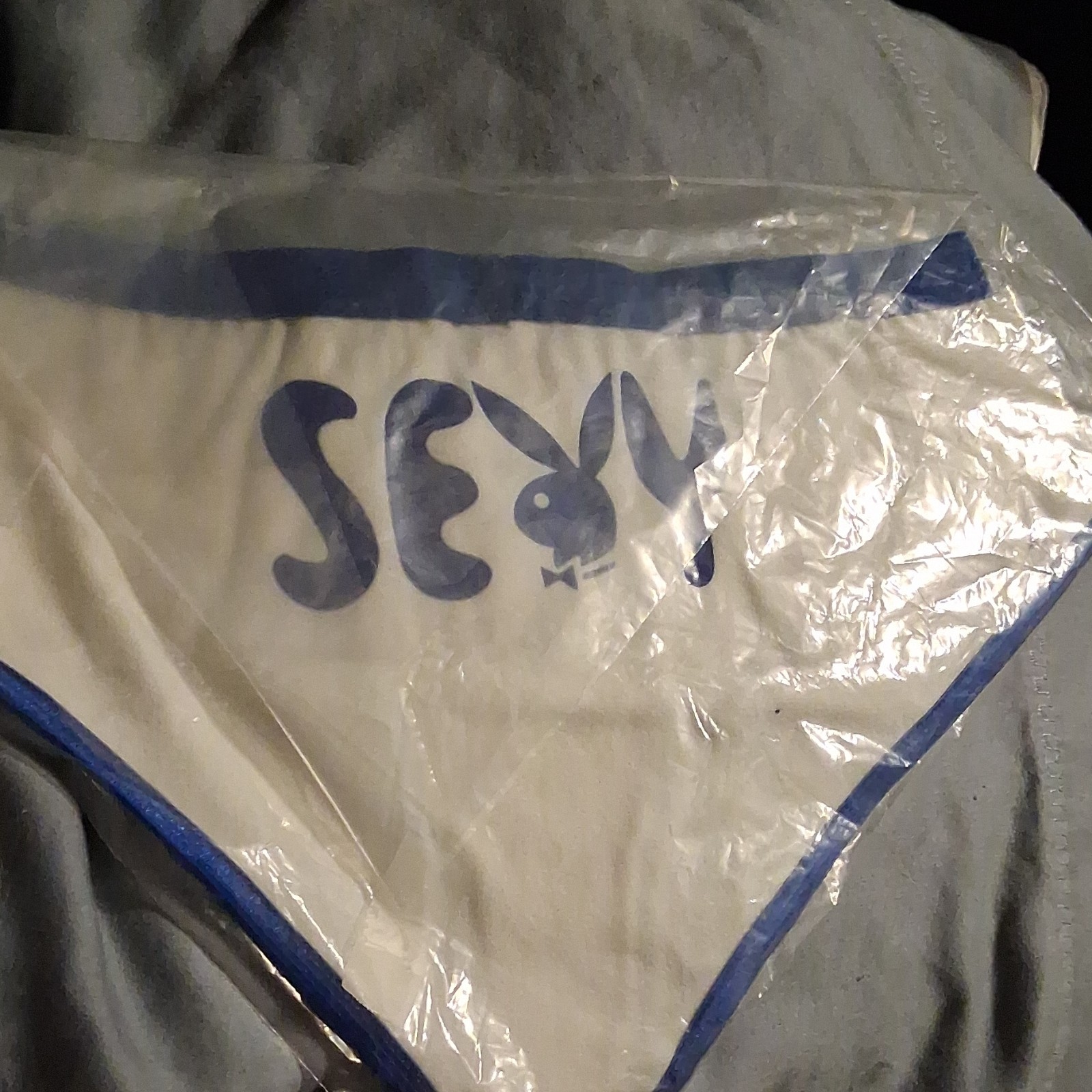 Vintage Playboy Bierf Panties With Bunny Logo On Front And Sexy On Back