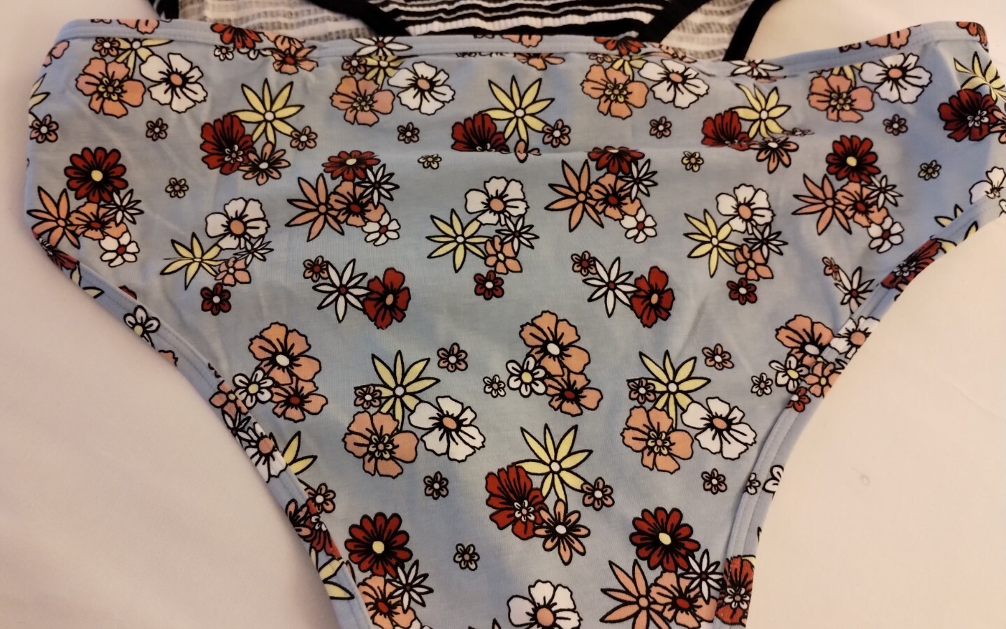 NOBO No Boundaries XL (15-17) 3 Pair Lace Hipster Cheeky