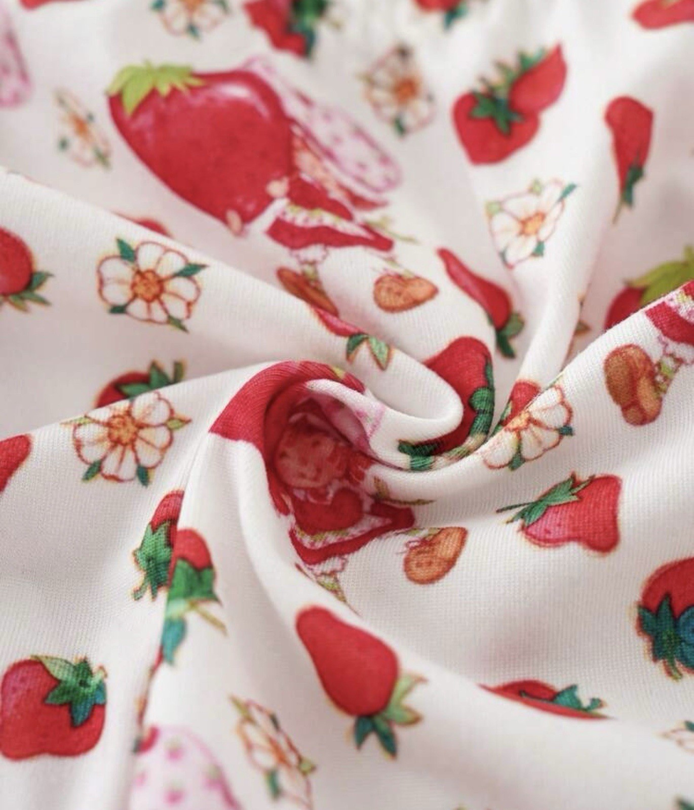 Strawberry Shortcake Licensed Women’s Teen Kawaii Bikini Panties Ruffle Large