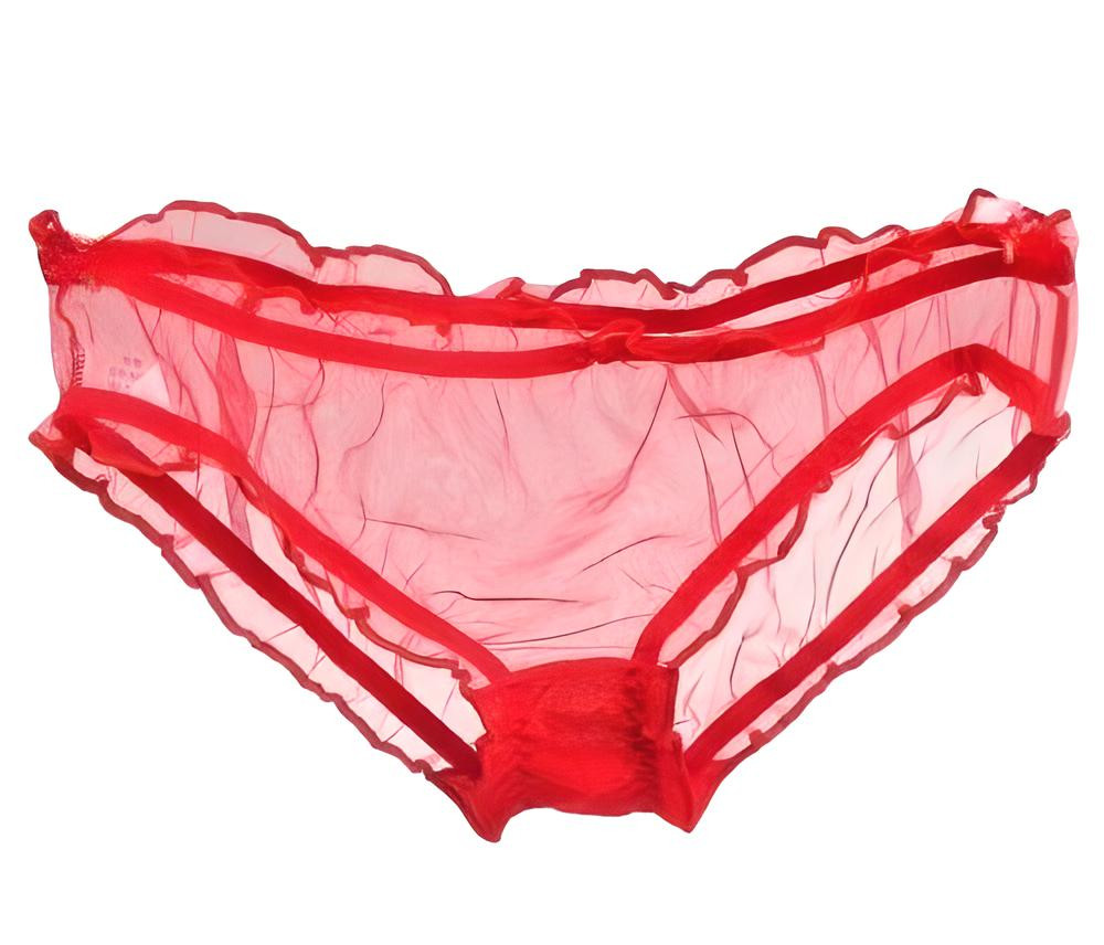 Vintage Style Completely Sheer Transparent Nylon Panties Retro look Sexy NEW