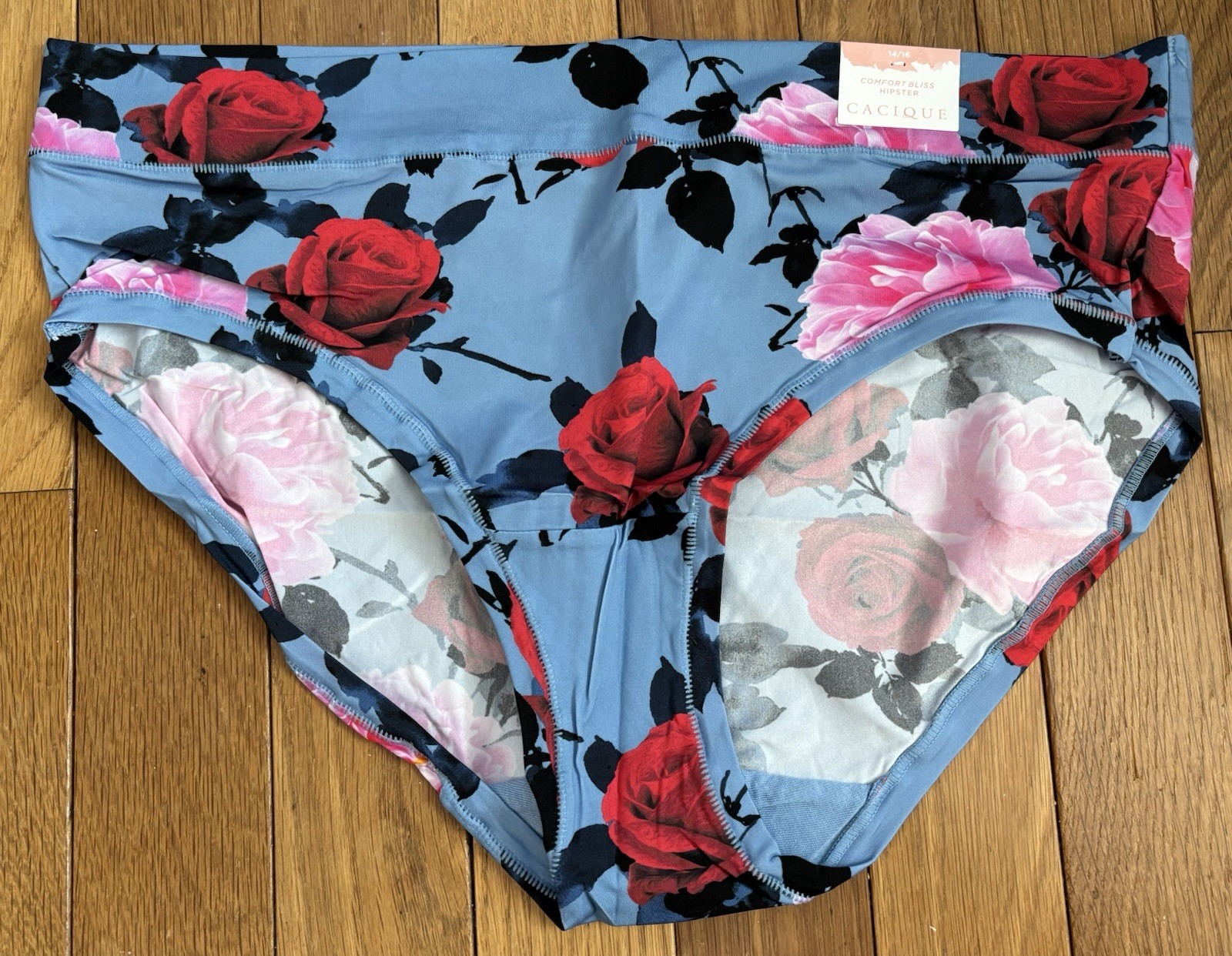 Plus Sz 14/16 Lane Bryant Cacique Comfort Bliss Hipster Nylon Dusty Blue Rose