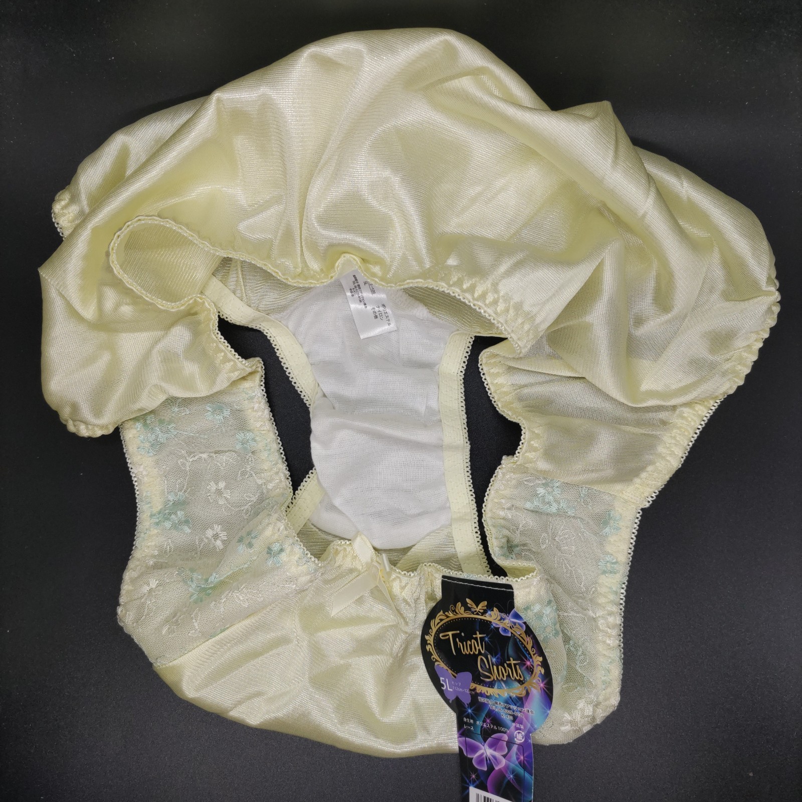 US SIZE 2XL SHINY NYLON TRICOT PANTIES from Japan