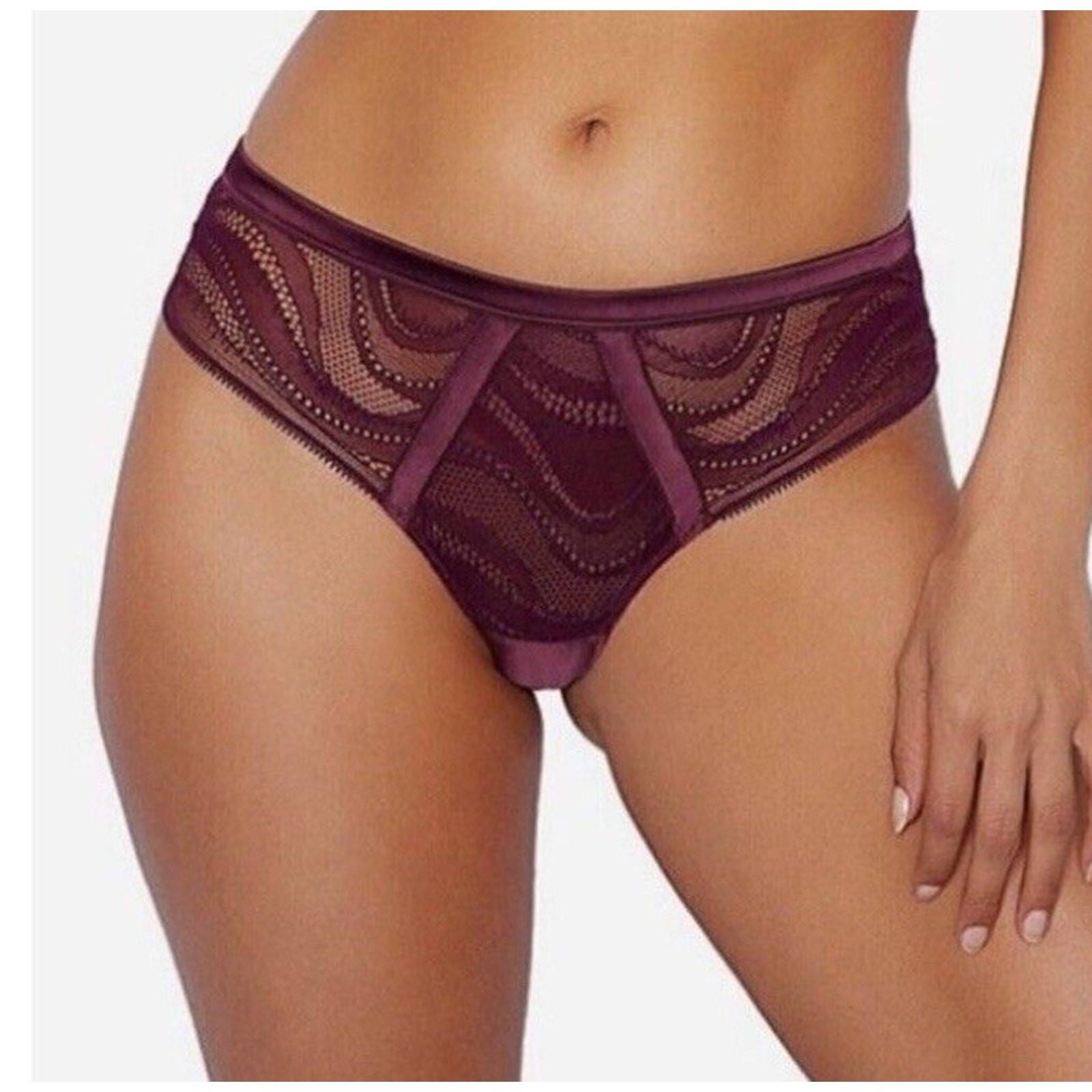Pleasure State Midi Brief Amelia Panties Size XL Fig Underwear Intimate NWT