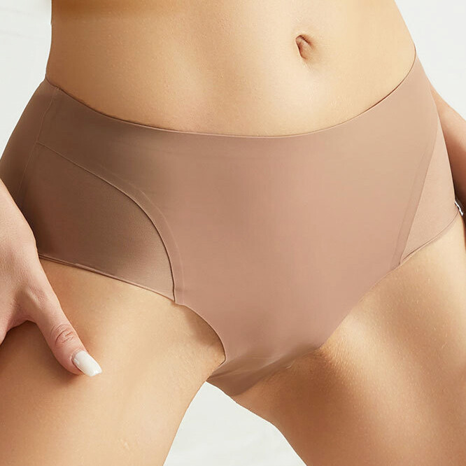 5 Pack Lot Sexy Womens Seamless Panties Briefs Sheer Bikinis Underwear Lingerie