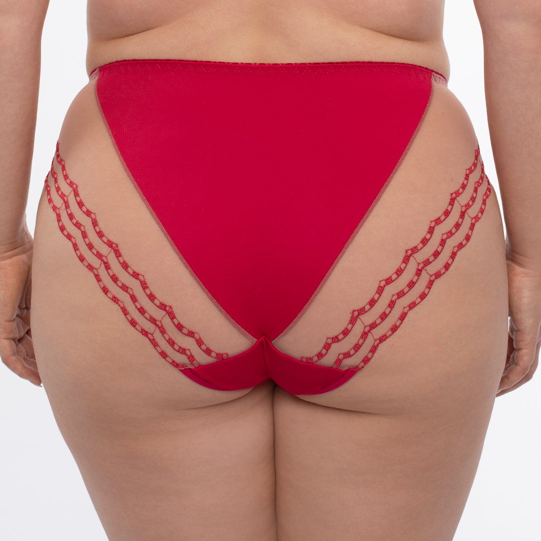 Samanta Daniela Sheer Mesh Tulle Embroidered Bikini Panty New Womens Lingerie