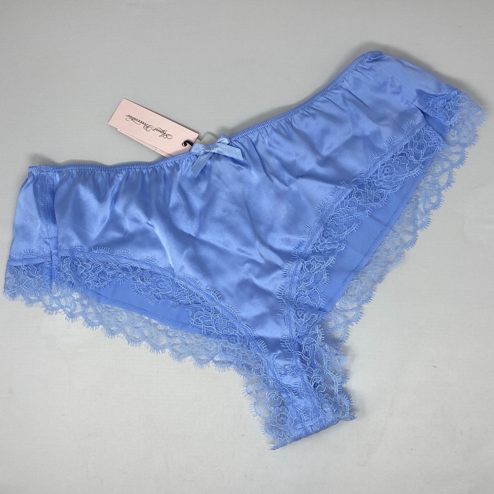 Agent Provocateur Gisele PJ Baby Blue Silk Brief AP4 Large NWT $145