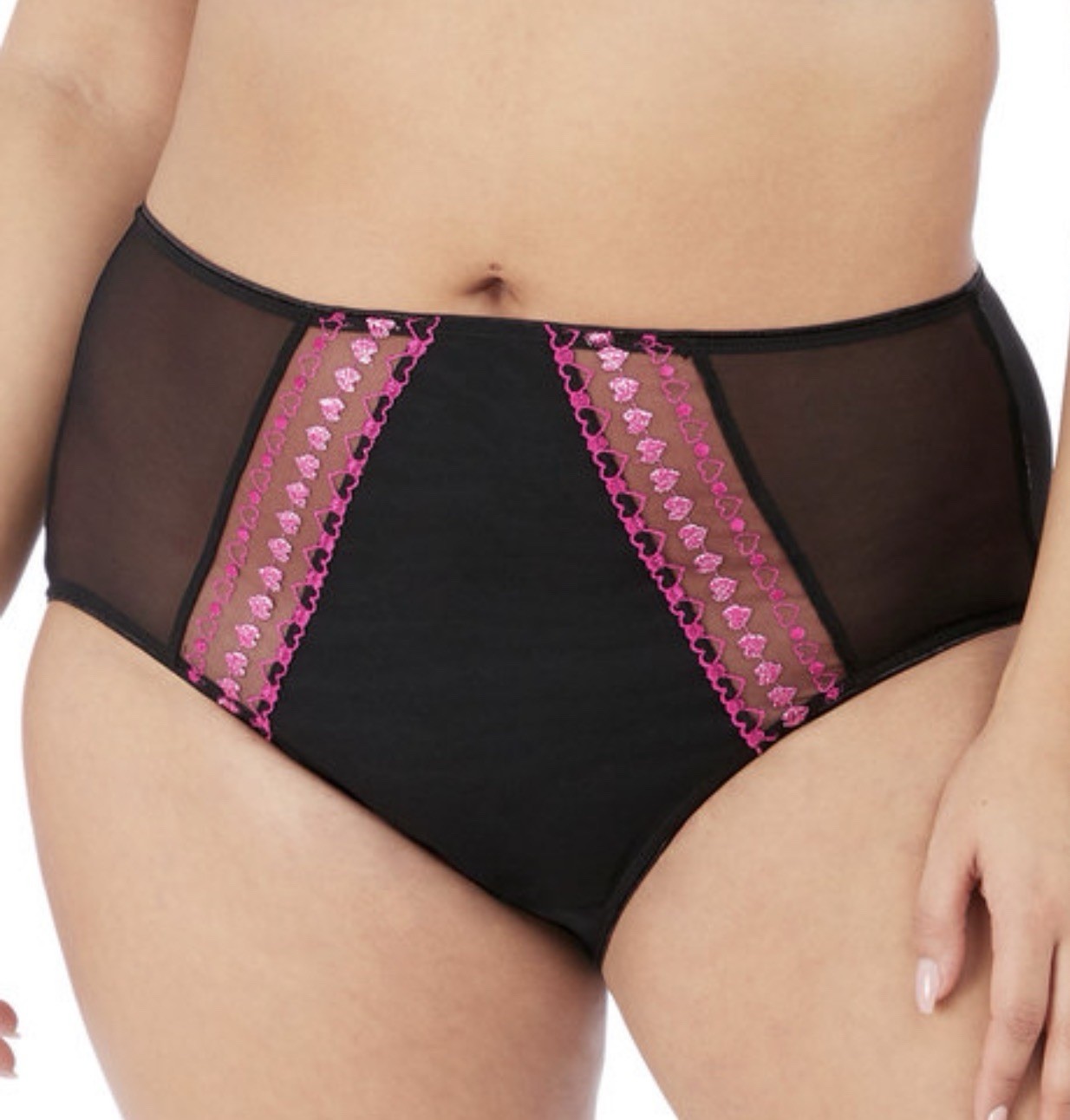 Elomi Matilda EL8906KIS Full Coverage Brief Underwear Size M