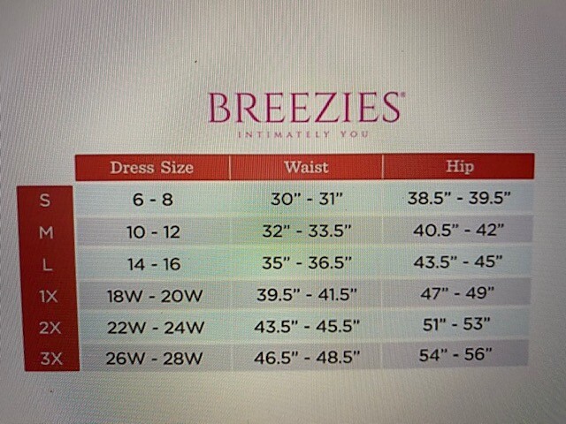 BREEZIES Microfiber Hi-Cut Panties w/Lace A302048