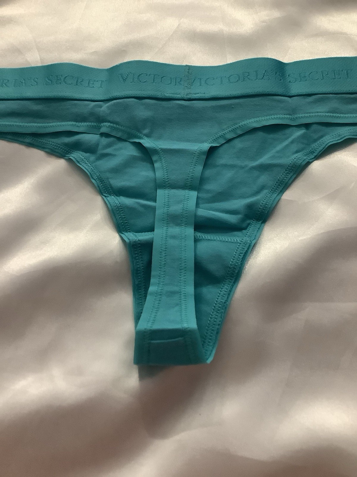 Victoria’s Secret PINK Women’s Thong Panties Band Logo Blue Turquoise 1pk Large