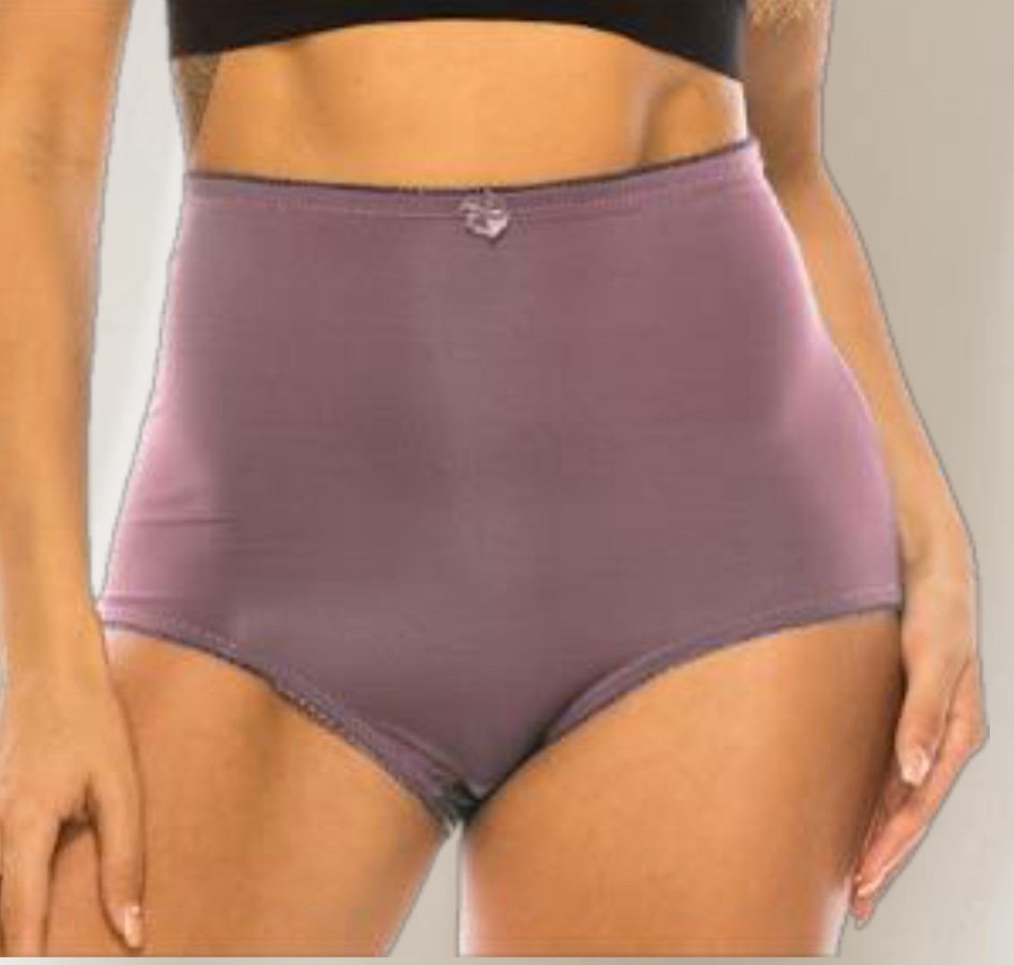 4/6 Briefs High Waisted Girdle Satin Panties Underwear Silky Smooth 69061 S-5XL