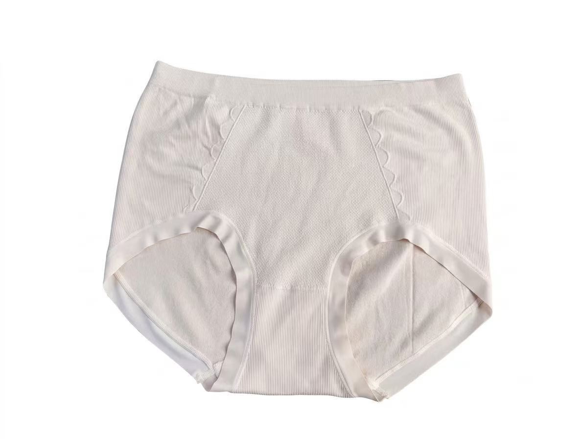 6ps Plus Size High-Waisted Nylon Minimalist Comfortable Women’s Pantie 155-240LB