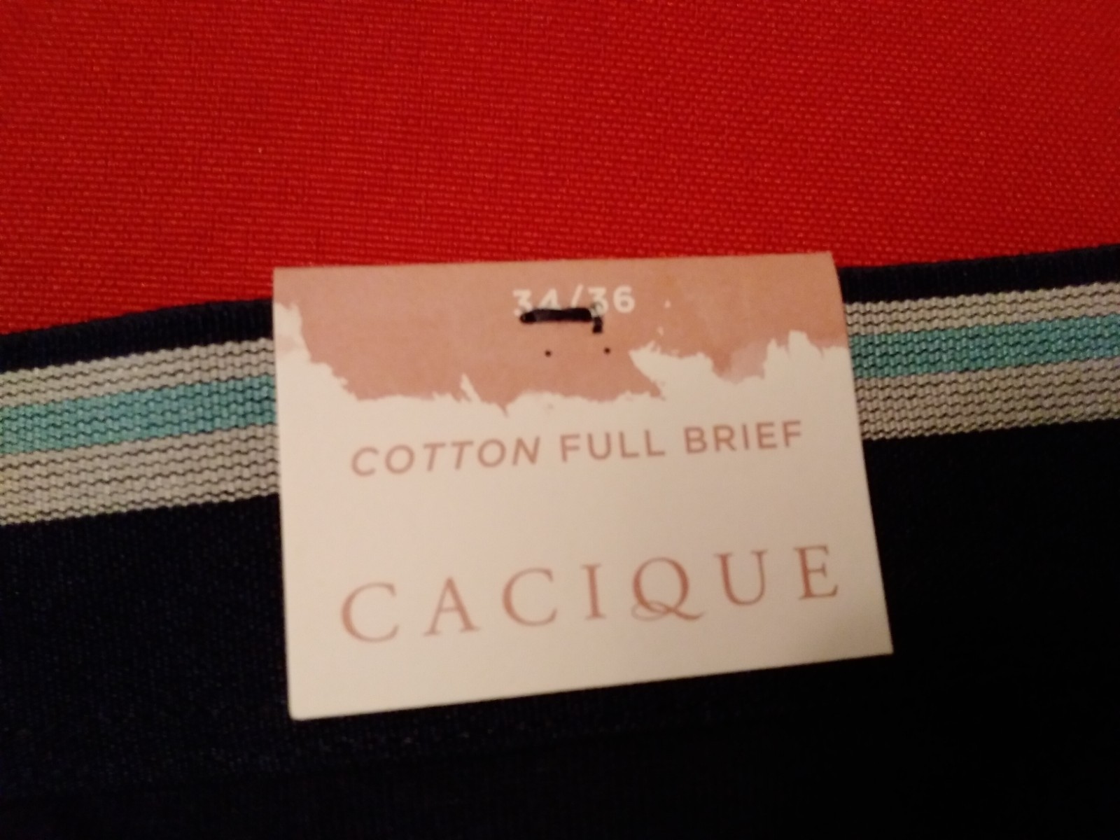 Panties Plus Size 34/36 Lane Bryant Cacique Full Brief Cotton “Belle of the BBQ”