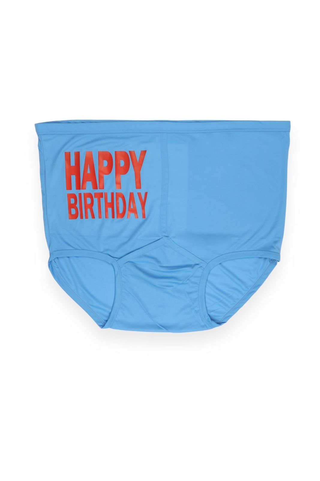 Funny Printed High Waist Briefs Big Beautiful Happy Birthday Christmas Underwear