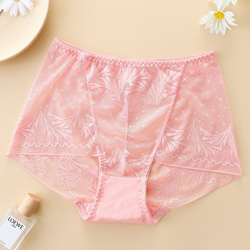 3X Women High Waist Knickers Briefs Lady Lace Seamless Underwear Panties L-2XL