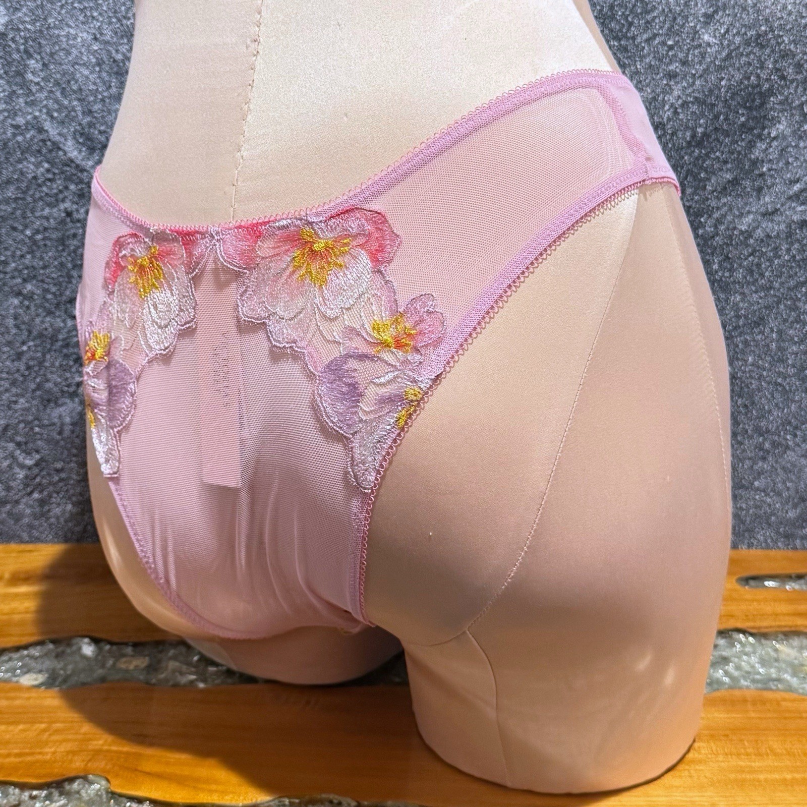 Victoria’s Secret Dream Angels Watercolor Embroidery Brazilian Panty MEDIUM NWT