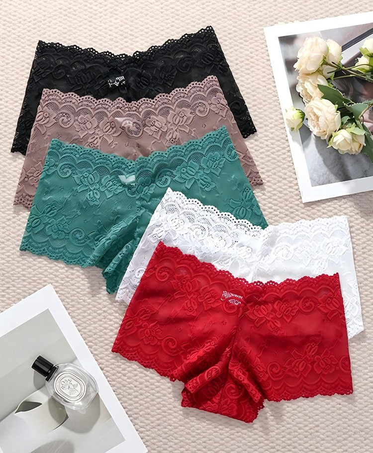 Sexy Transparent Women Briefs Mid Rise Elastic Lace Daily Comfort Underwear 5Pcs