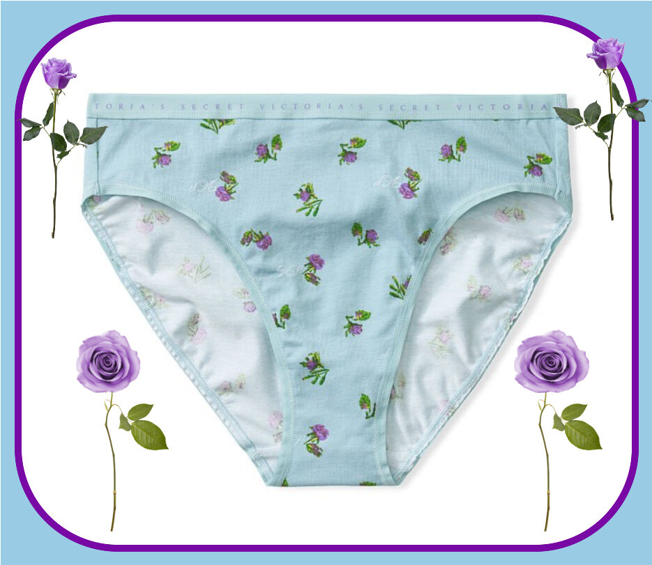 XXL Aqua Rose Stretch Cotton Waist Victorias Secret High-Leg Waist Brief Pantie