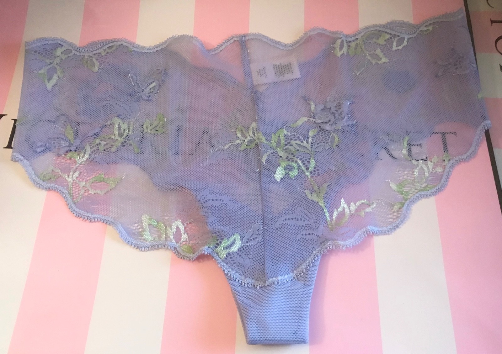 NWOT VICTORIA’S SECRET S PURPLE MESH ROSE FLORAL VINTAGE RARE HIPHUGGER PANTIES