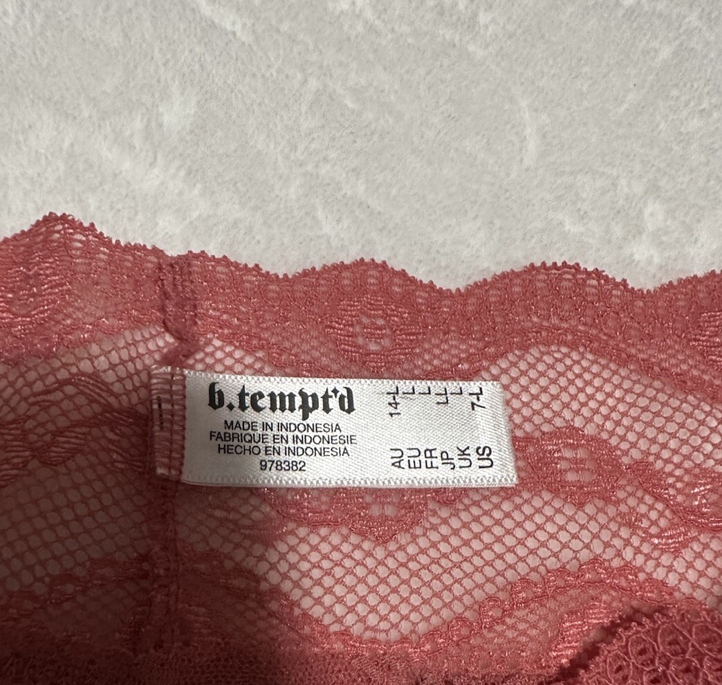 Lot of 2 – B.TEMPT’D Hi-Leg Briefs – Lace – Women’s Size Large / 7 – BRAND NEW!