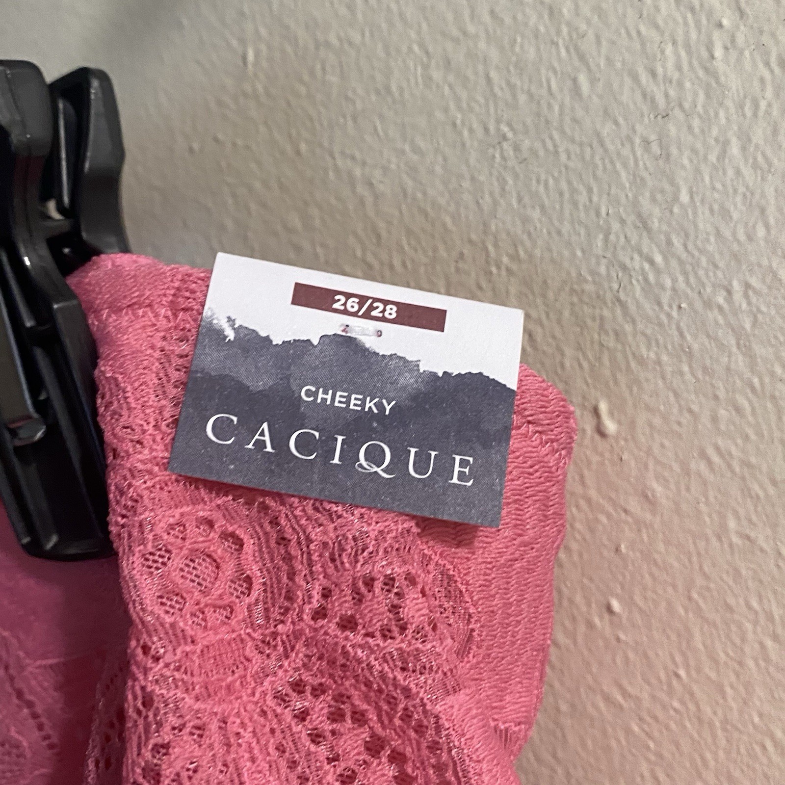 Cacique Womens NWT Plus Size 26 28 Pink Lace Panties Underwear Couture Coquette