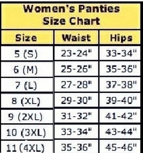 6 Women SEXY SILKY High Waist Briefs Knickers Panties #699 Lot Underwear S~XXL