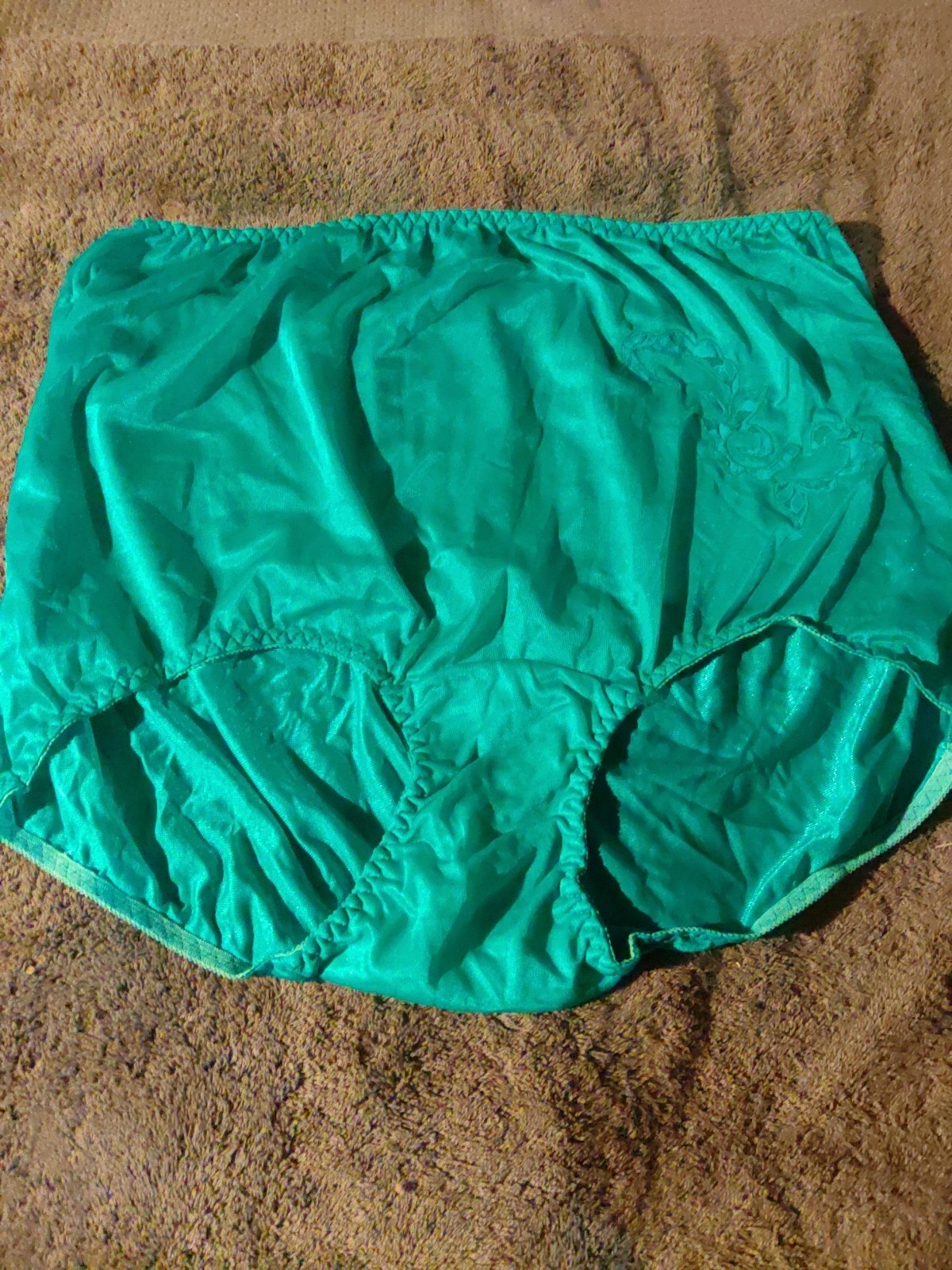 Ventura Nylon Brief Panties Decorative Applique Sz 12