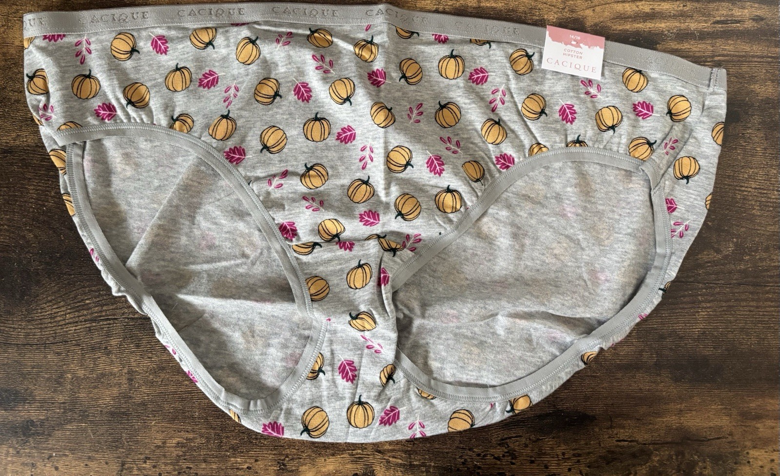 Plus Size 14/16 Lane Bryant Cacique Hipster Cotton Panty Fall Leaves Pumpkin