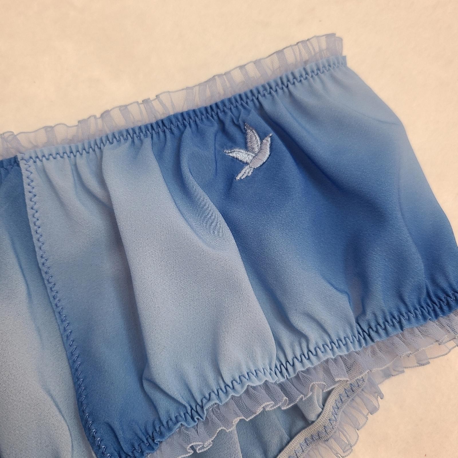 Rare VTG Aerie Cloud Dye Chiffon Ruffle Hipster Bikini Panty Size Lg Blue