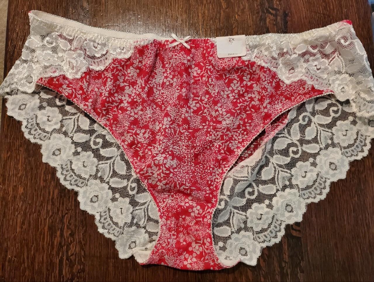NWT CABERNET NYLON SPANDEX BIKINI PANTIES w LACE 1001 RASP FLORAL 2X