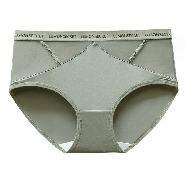 1/5 Pack Lot Women Sheer Satin Briefs Panties Silky Seamless Underwear Lingeries