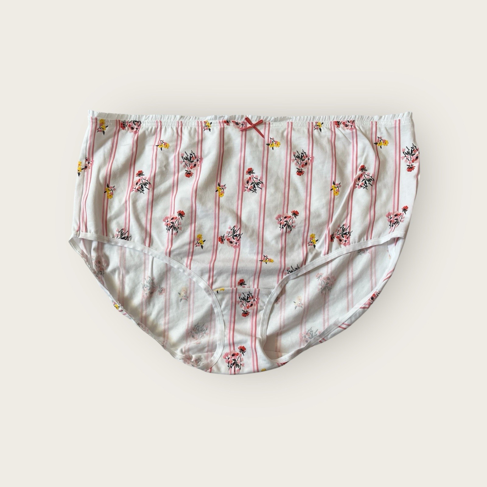Lane Bryant Cacique Cotton High Leg Brief Panty Ruffled Pleated Waist sz 22/24
