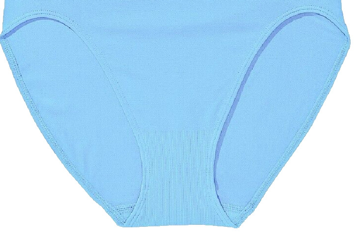 L Sea Blue SEAMLESS NOSHOW FULLCOVER Victorias Secret HighLeg Waist Brief Panty
