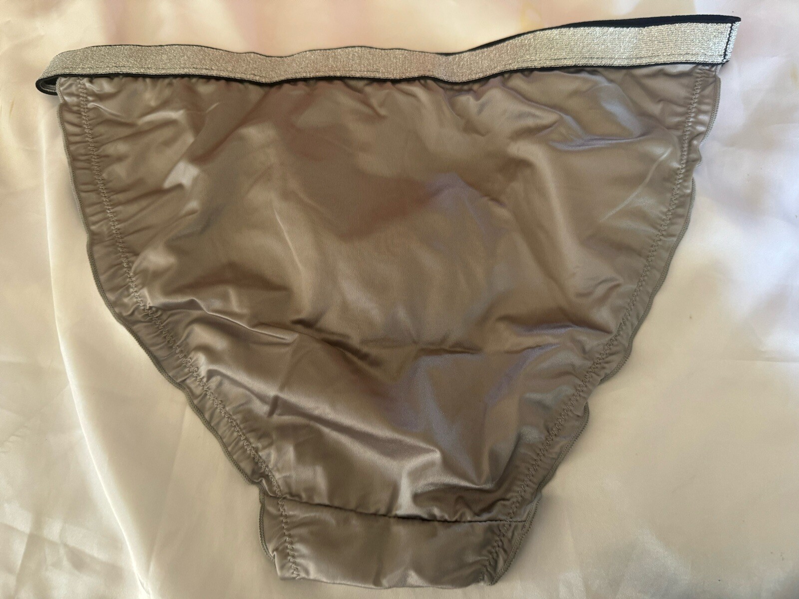 Shiny Silver Satin Nylon Silver Sparkle Thick Band Bikini Panties Sz XL