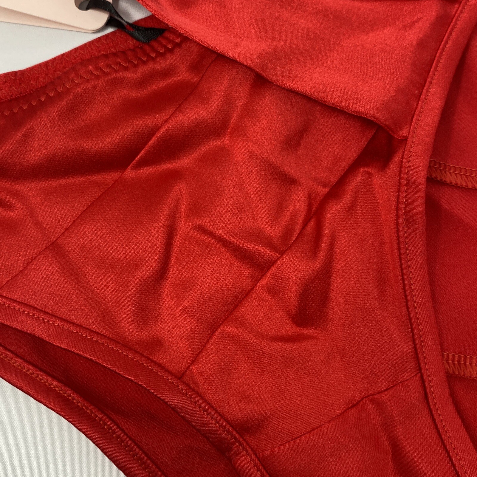 Agent Provocateur Sugar Red Silk Brief AP3 Medium NWT $155