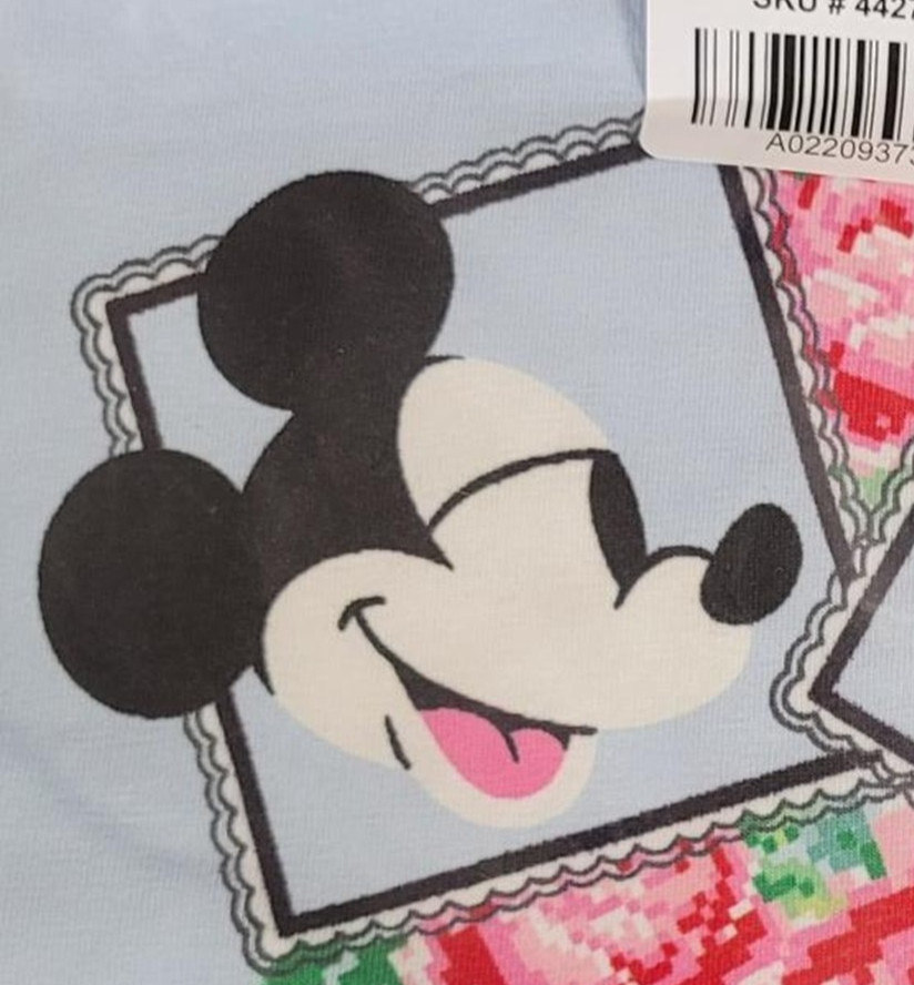 Torrid Mickey & Minnie Mouse Valentine’s Day Mid-Rise Cotton Panty Size 2 2X NWT