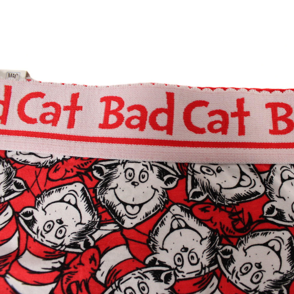 Dr. Seuss Cat in the Hat Panties Women’s Large NWT Special Birthday Edition