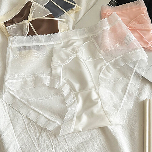 5PCS/LOT Sexy Womens See Through Sheer Satin Panties Brief Underwear Lingeries