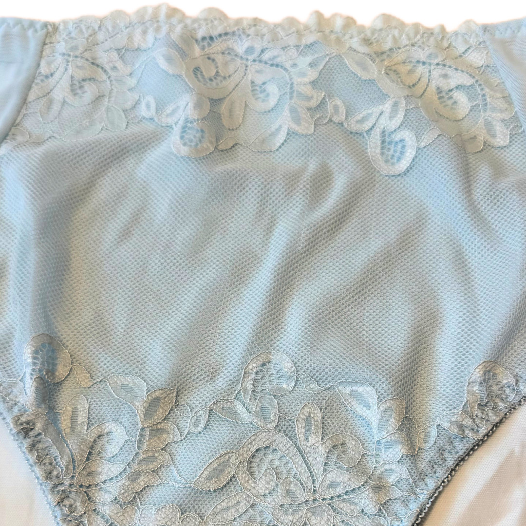 Splendies Blue Celina Lace Bikini Panties Size 4x Floral Lingerie Underwear New