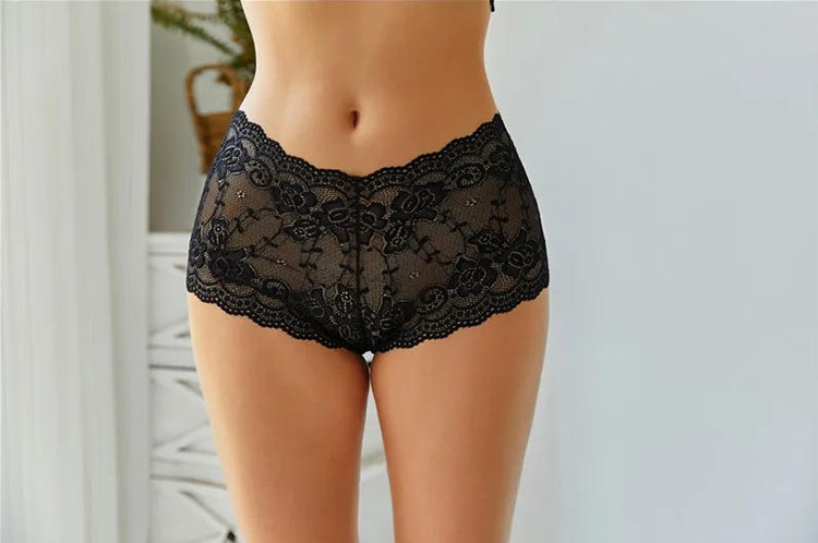 Sexy Transparent Women Briefs Mid Rise Elastic Lace Daily Comfort Underwear 5Pcs