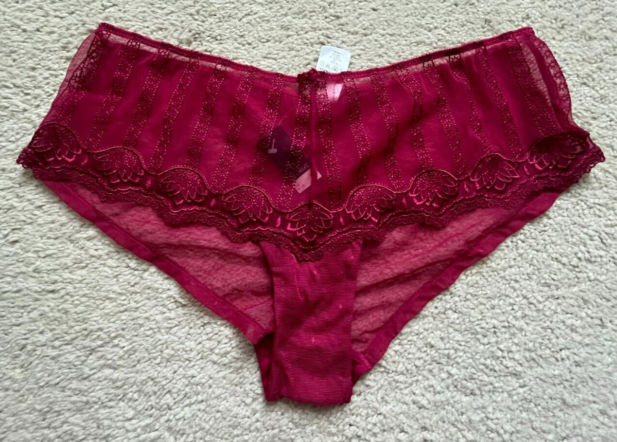 NWT Next Lace Intimates Knickers Sz 14 US Sz 10 (M)