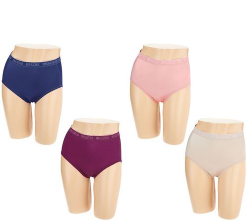 BREEZIES HI CUT Nylon Microfiber Brief Panties A287800